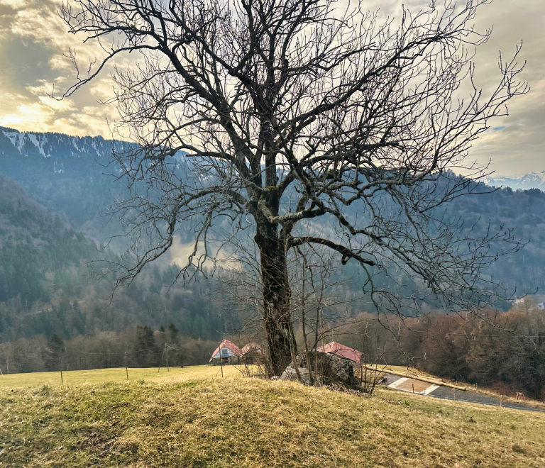 Les Avants - Ken Ritley